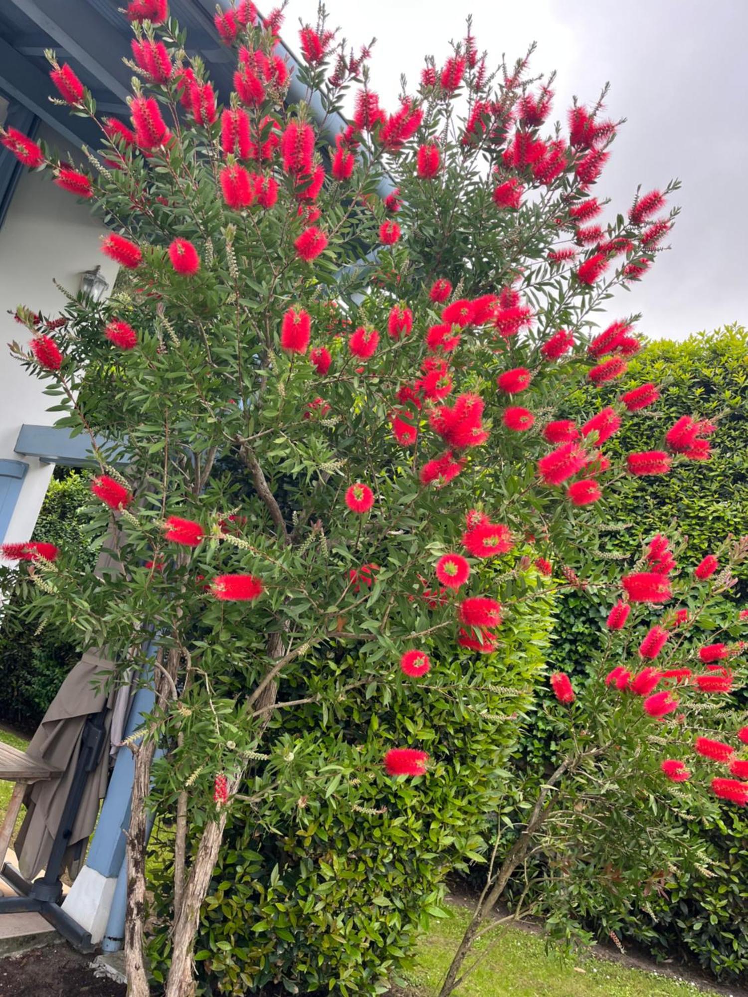 埃奇布里住宿加早餐旅馆 安格雷 外观 照片