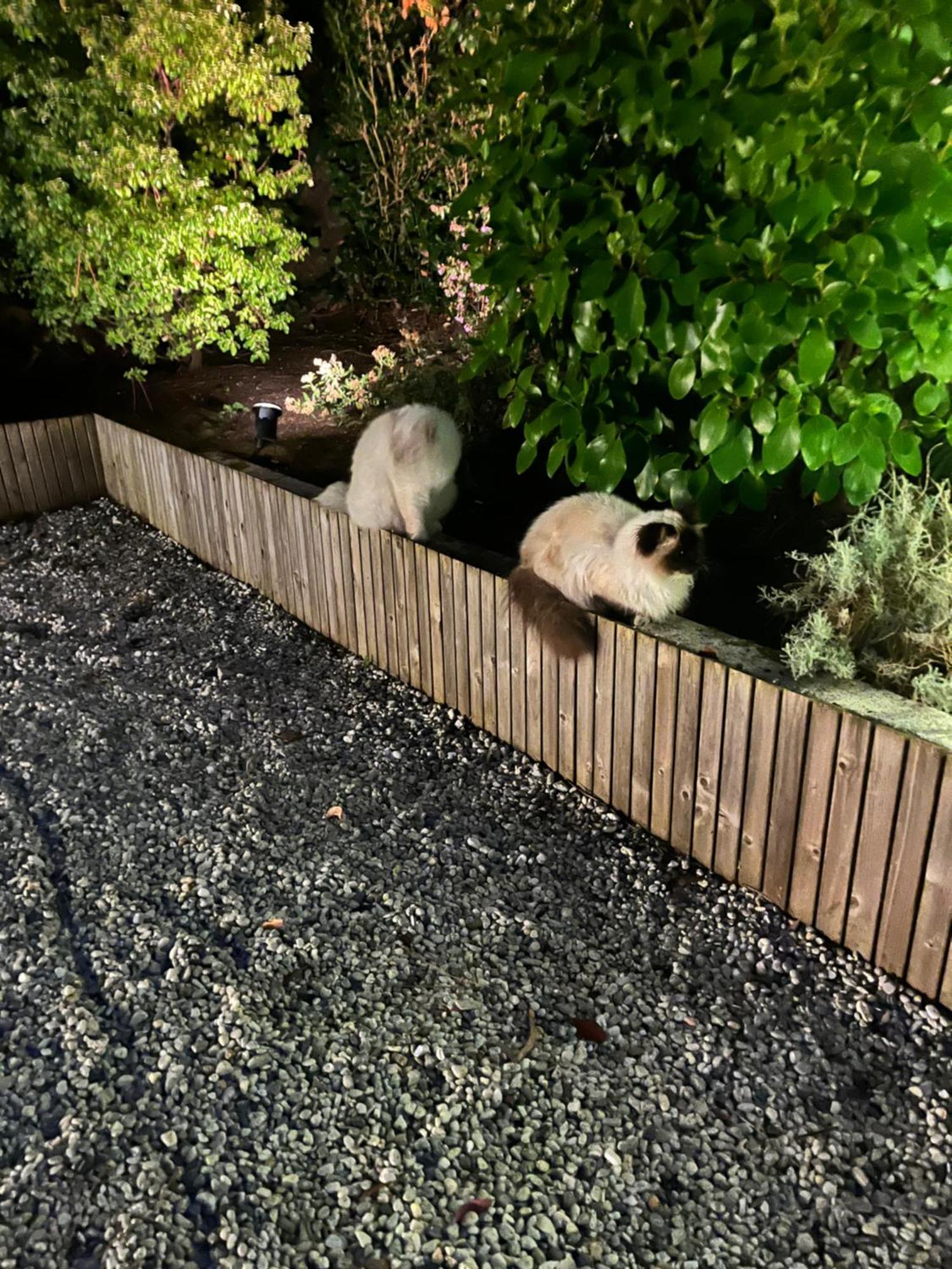 埃奇布里住宿加早餐旅馆 安格雷 外观 照片